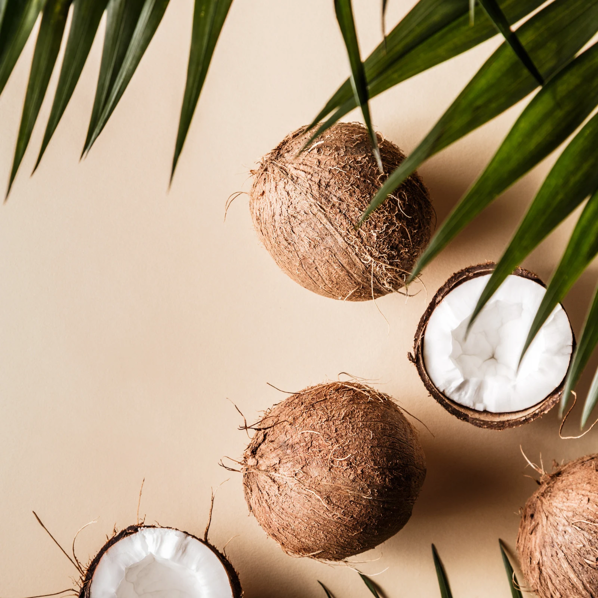 COCONUT SANDS
