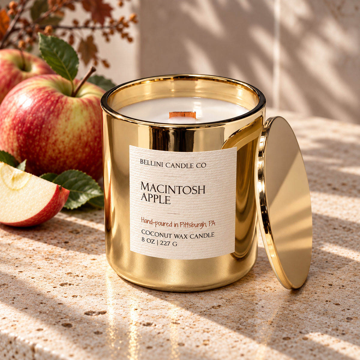 MACINTOSH APPLE