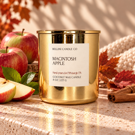 MACINTOSH APPLE