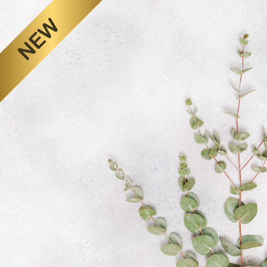 WHITE EUCALYPTUS